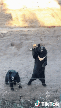 Ciao Hello GIF by TikTok Italia