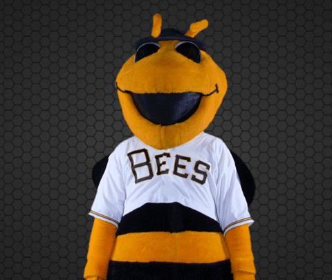 SaltLakeBees giphyupload baseball bee bees GIF