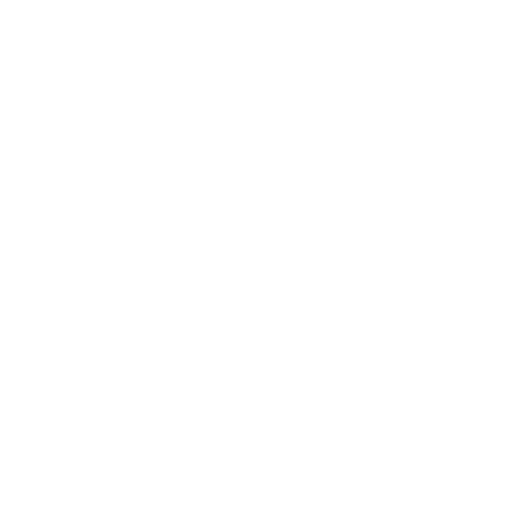 Spacefox_shop giphyupload space espace spacefox Sticker