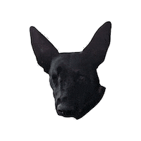 Dog Billie Sticker by chuber channel