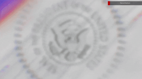 newscaststudio giphyupload GIF