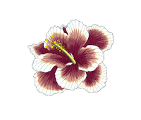 fun summer Sticker by Adriana Barra
