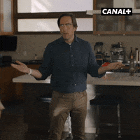 Los Angeles Humour GIF by CANAL+