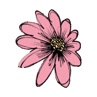 Chapot fashion pink daisy print Sticker