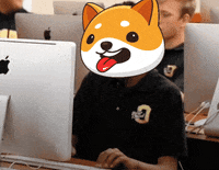 Money Win GIF by Baby Doge Coin