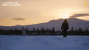 Dog Travel GIF by National Geographic Channel