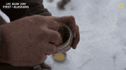 Lbz Lifebelowzero GIF by National Geographic Channel