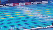 fu yuanhui swimming GIF