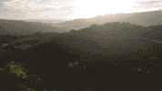 Bluemissions GIF by Marbel Lugo