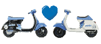Motorcycle Tuning Sticker by Polini