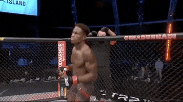 Hakeem Dawodu Sport GIF by UFC