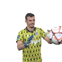 Football Ball Sticker by EA Guingamp