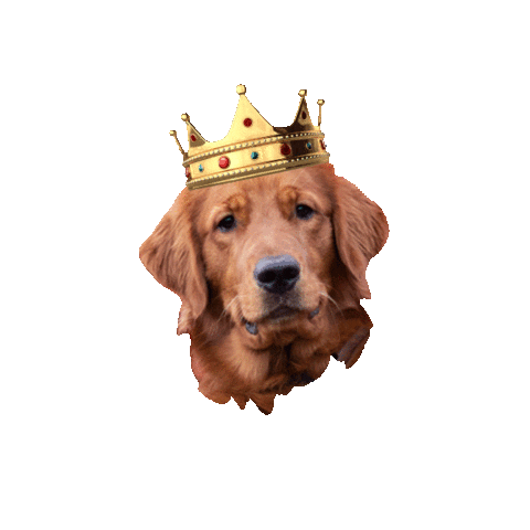 King Leo Sticker