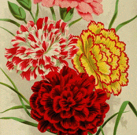 John Sullivan Vintage GIF