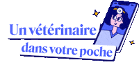 Cat Dog Sticker by dalma_app