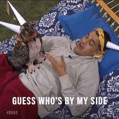 big brother GIF by Big Brother After Dark