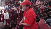 hockey fan GIF by Greenville Swamp Rabbits