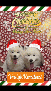 Christmas Benji GIF