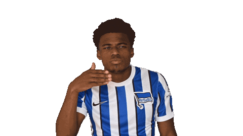 Home Facepalm Sticker by Hertha BSC