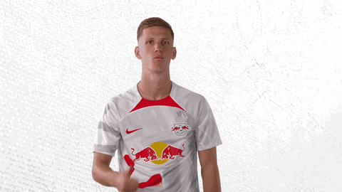 Football Yes GIF by RB Leipzig