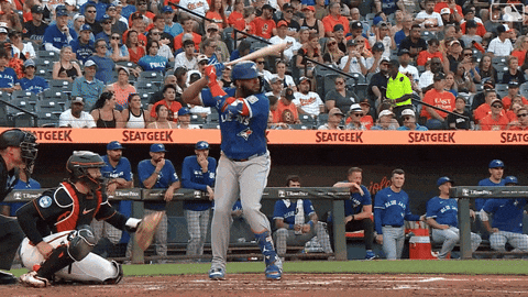 Home Run Baseball GIF by Toronto Blue Jays