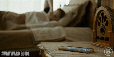 Wayward Guide GIF by Tin Can Bros