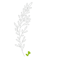 Kriesten_garten stuttgart natur blumen pflanzen Sticker