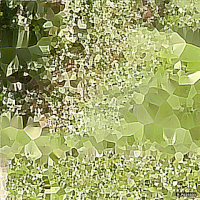 art geometry GIF by Michel Poisson