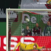 goal yes GIF by FC Bayern Munich