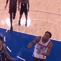 Ny Knicks GIF