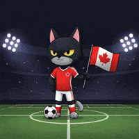 Football Soccer GIF by CATBAT