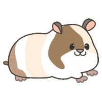 petforest 고양이 강아지 사랑해 guineapig Sticker