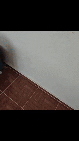 Tv Izleyen Adamlar GIF