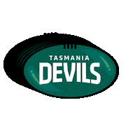 Australian Football League Afl Sticker by tasmaniafc