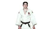 Fight Swipe Up Sticker by Czech judo