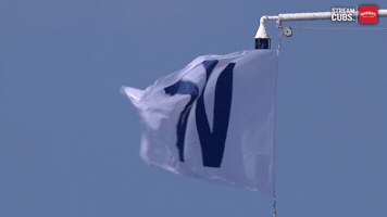 Chicago Cubs Win GIF