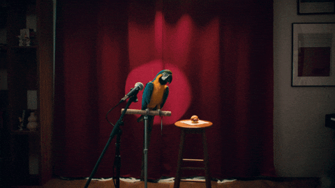 Stand Up Comedy Delivery GIF by foodora