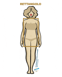 Color Palette GIF by Accademia Consulenza D'immagine