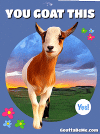 You Got This GIF by Goatta Be Me Goats! Adventures of Java, Toffee, Pumpkin and Cookie!