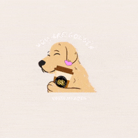 Luv You GIF by Berk's Beans Coffee