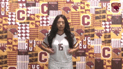 Cuc GIF by CUCougars