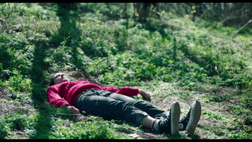 Forest Ugh GIF by CanFilmDay