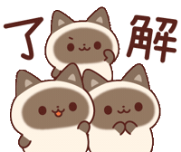 In Love Cat Sticker