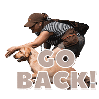 Labrador Dummy Sticker by DER HUND - das Magazin