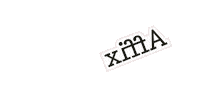 Animated Text Type Design Sticker by AllCaps