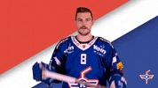 EHCKloten fight eishockey icehockey kloten GIF