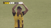 Usl Championship Soccer GIF by Charleston Battery