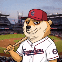 Shiba Inu Baseball GIF by Doge Pound