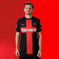 I Love You Football GIF by Bayer 04 Leverkusen