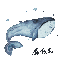 Whale Sticker by MMMoje